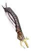 Serpent Sword - MU Online Season 21 item drop