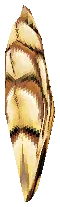 Golden Sentence - MU Online Season 21 item drop