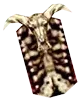 Skull Shield - MU Online Season 21 item drop